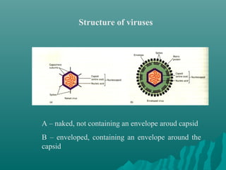 Morphology and physiology of viruses | PPT