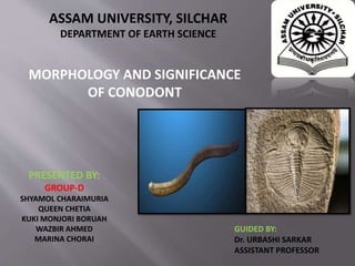 PRESENTED BY:
GROUP-D
SHYAMOL CHARAIMURIA
QUEEN CHETIA
KUKI MONJORI BORUAH
WAZBIR AHMED
MARINA CHORAI
ASSAM UNIVERSITY, SILCHAR
DEPARTMENT OF EARTH SCIENCE
MORPHOLOGY AND SIGNIFICANCE
OF CONODONT
GUIDED BY:
Dr. URBASHI SARKAR
ASSISTANT PROFESSOR
 