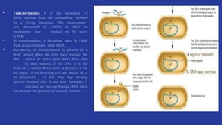 Comprehensive Overview of Bacteria Ultra Structure, Morphology ...