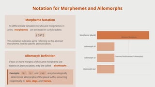 Two Allomorphs Examples Morphology and Syntax Understanding the Structure of Words and ...