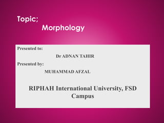 Topic;
Morphology
Presented to:
Dr ADNAN TAHIR
Presented by:
MUHAMMAD AFZAL
RIPHAH International University, FSD
Campus
 