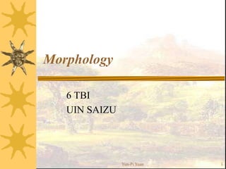 Morphology
6 TBI
UIN SAIZU
Yun-Pi Yuan 1
 