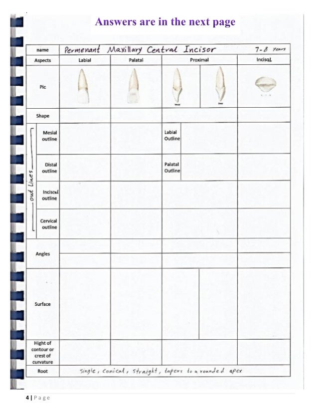 Dental Anatomy _or_ Morphology _ BDS_ ISNC