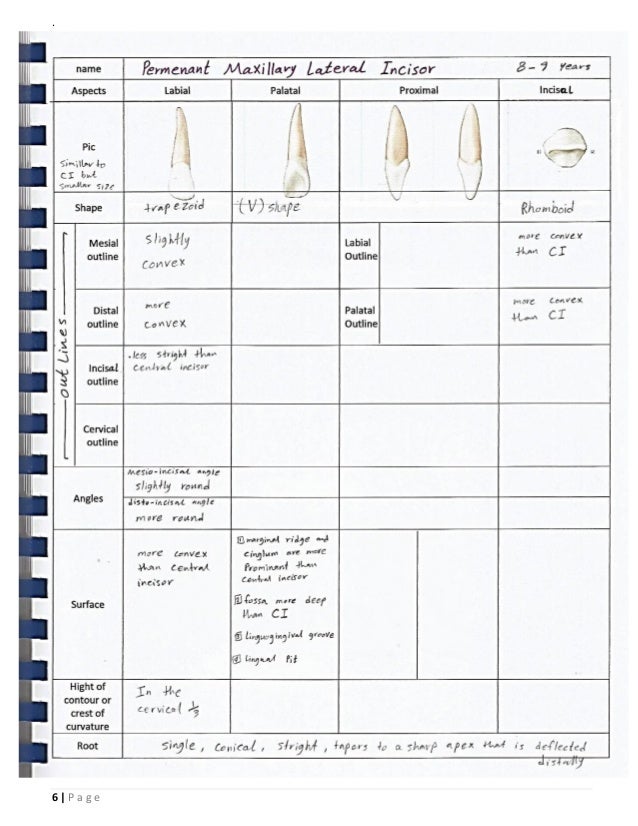 Dental Anatomy _or_ Morphology _ BDS_ ISNC
