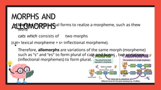 Comprehensive Introduction to Morphology in Linguistics: Morphemes ...
