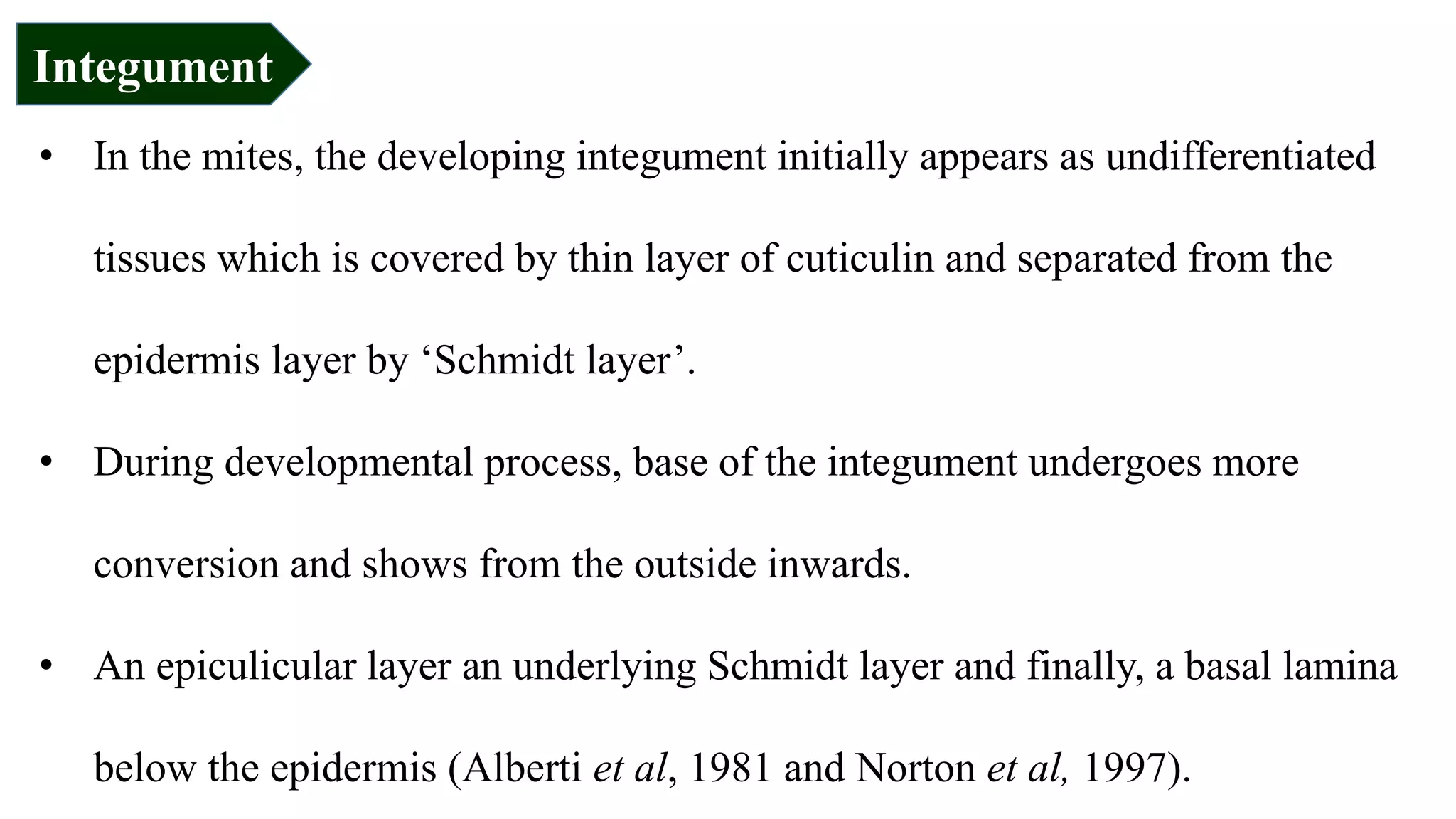 • In the mites, the developing integument initially appears as undifferentiated
tissues which is covered by thin layer of cuticulin and separated from the
epidermis layer by ‘Schmidt layer’.
• During developmental process, base of the integument undergoes more
conversion and shows from the outside inwards.
• An epiculicular layer an underlying Schmidt layer and finally, a basal lamina
below the epidermis (Alberti et al, 1981 and Norton et al, 1997).
Integument
 