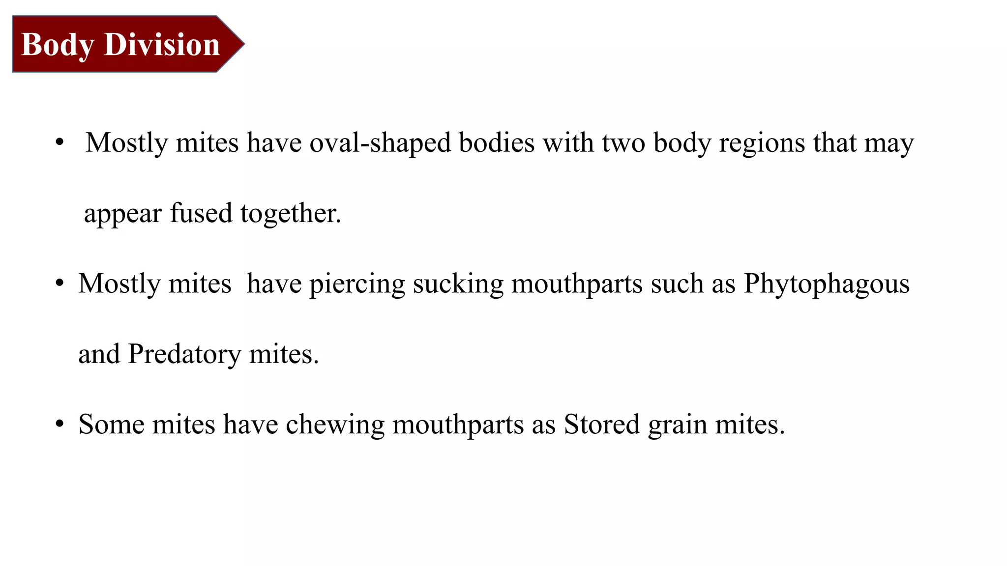 • Mostly mites have oval-shaped bodies with two body regions that may
appear fused together.
• Mostly mites have piercing sucking mouthparts such as Phytophagous
and Predatory mites.
• Some mites have chewing mouthparts as Stored grain mites.
Body Division
 