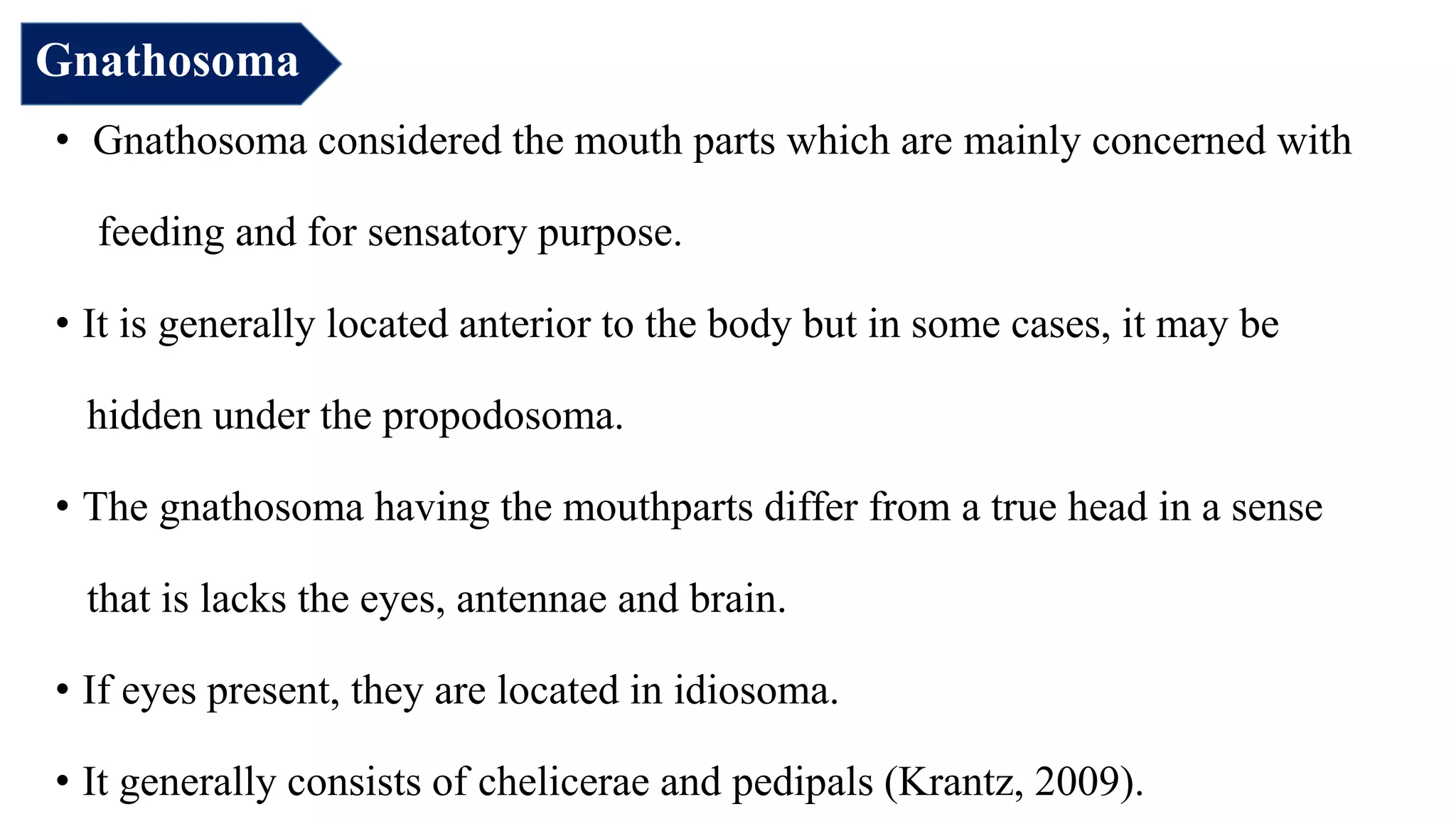 • Gnathosoma considered the mouth parts which are mainly concerned with
feeding and for sensatory purpose.
• It is generally located anterior to the body but in some cases, it may be
hidden under the propodosoma.
• The gnathosoma having the mouthparts differ from a true head in a sense
that is lacks the eyes, antennae and brain.
• If eyes present, they are located in idiosoma.
• It generally consists of chelicerae and pedipals (Krantz, 2009).
Gnathosoma
 