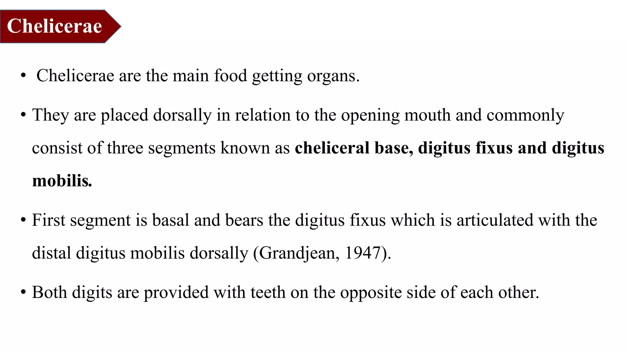 Chelicerae
• Chelicerae are the main food getting organs.
• They are placed dorsally in relation to the opening mouth and commonly
consist of three segments known as cheliceral base, digitus fixus and digitus
mobilis.
• First segment is basal and bears the digitus fixus which is articulated with the
distal digitus mobilis dorsally (Grandjean, 1947).
• Both digits are provided with teeth on the opposite side of each other.
 