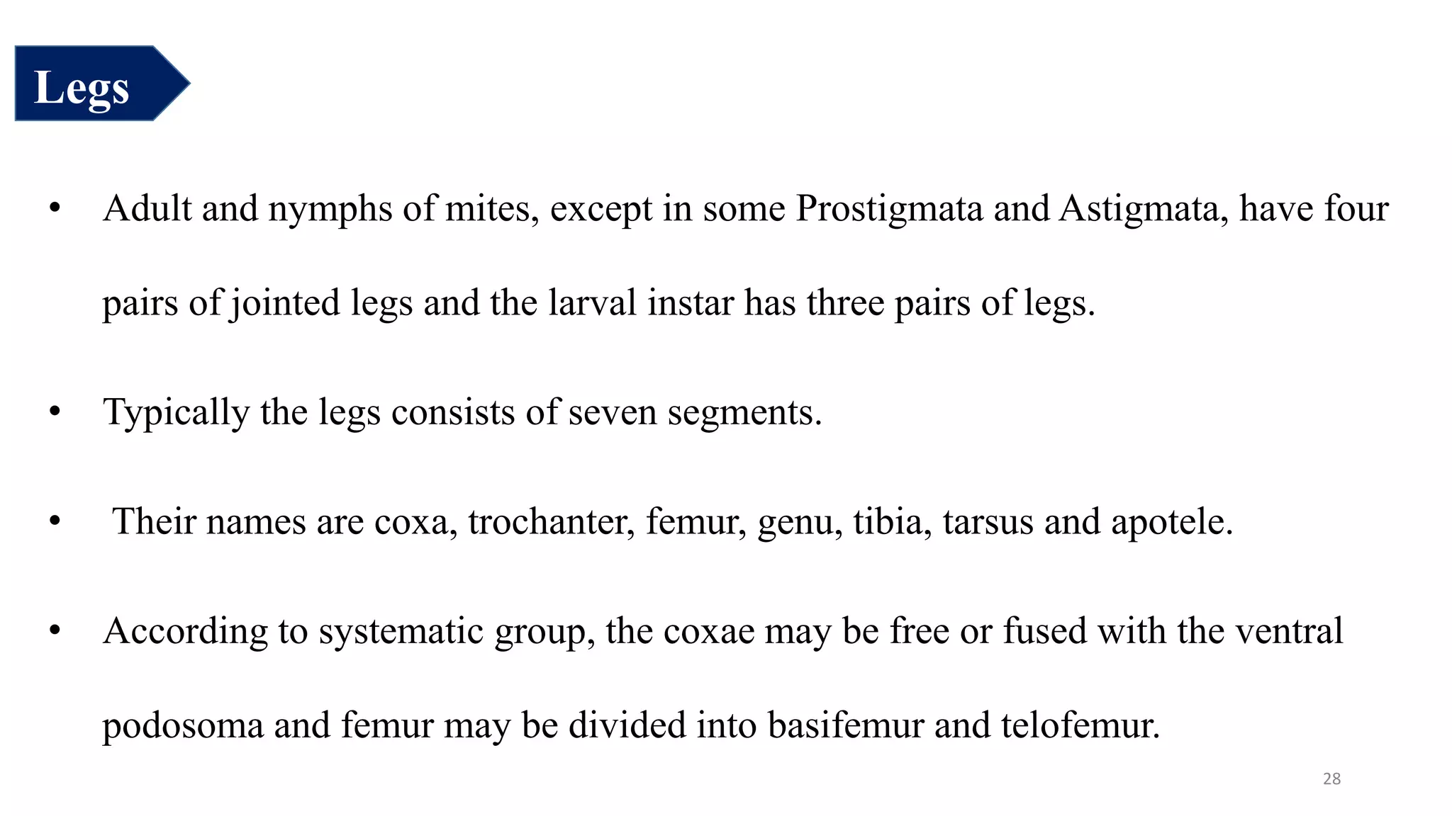 Legs
• Adult and nymphs of mites, except in some Prostigmata and Astigmata, have four
pairs of jointed legs and the larval instar has three pairs of legs.
• Typically the legs consists of seven segments.
• Their names are coxa, trochanter, femur, genu, tibia, tarsus and apotele.
• According to systematic group, the coxae may be free or fused with the ventral
podosoma and femur may be divided into basifemur and telofemur.
28
 