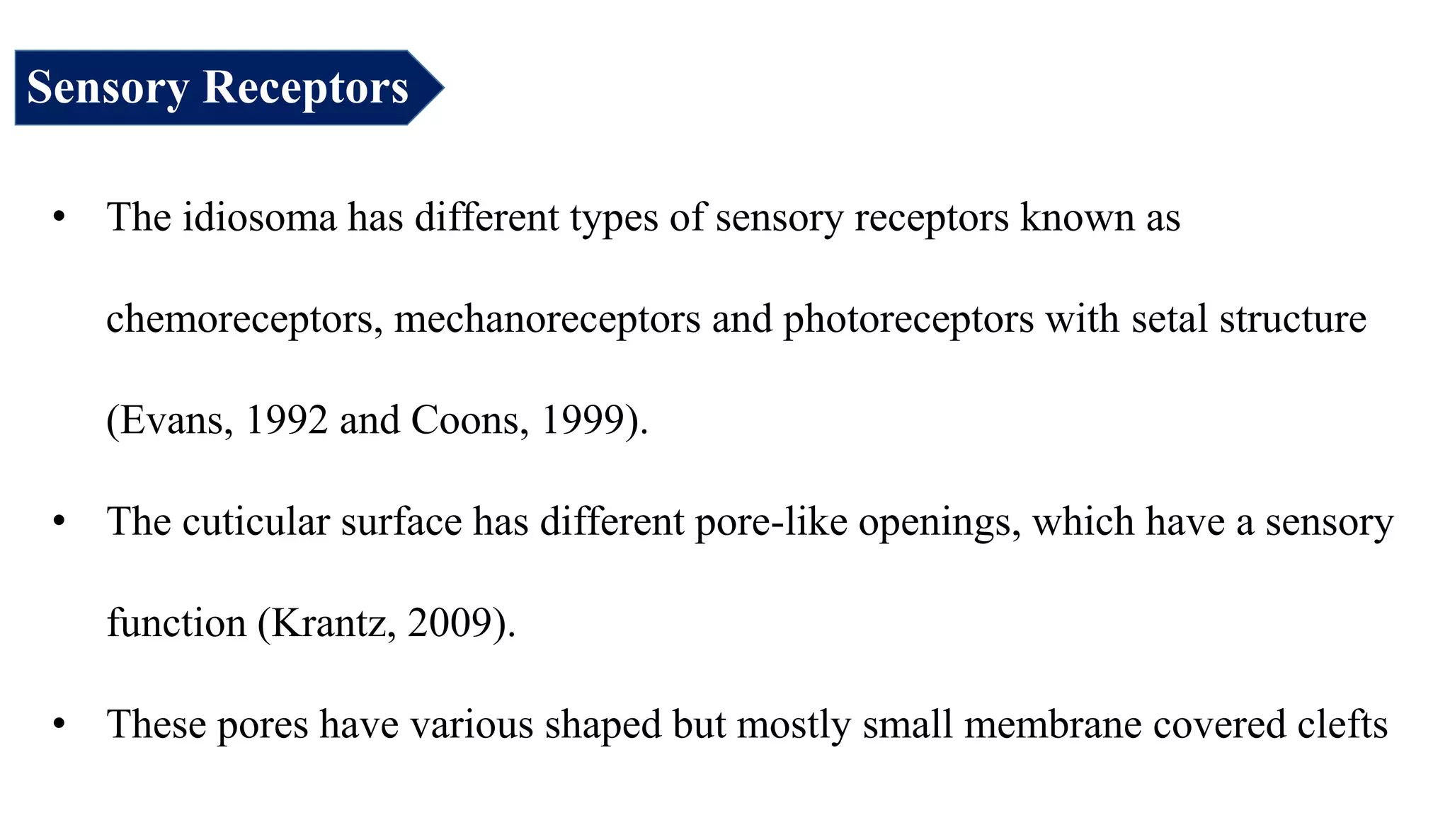 • The idiosoma has different types of sensory receptors known as
chemoreceptors, mechanoreceptors and photoreceptors with setal structure
(Evans, 1992 and Coons, 1999).
• The cuticular surface has different pore-like openings, which have a sensory
function (Krantz, 2009).
• These pores have various shaped but mostly small membrane covered clefts
Sensory Receptors
 