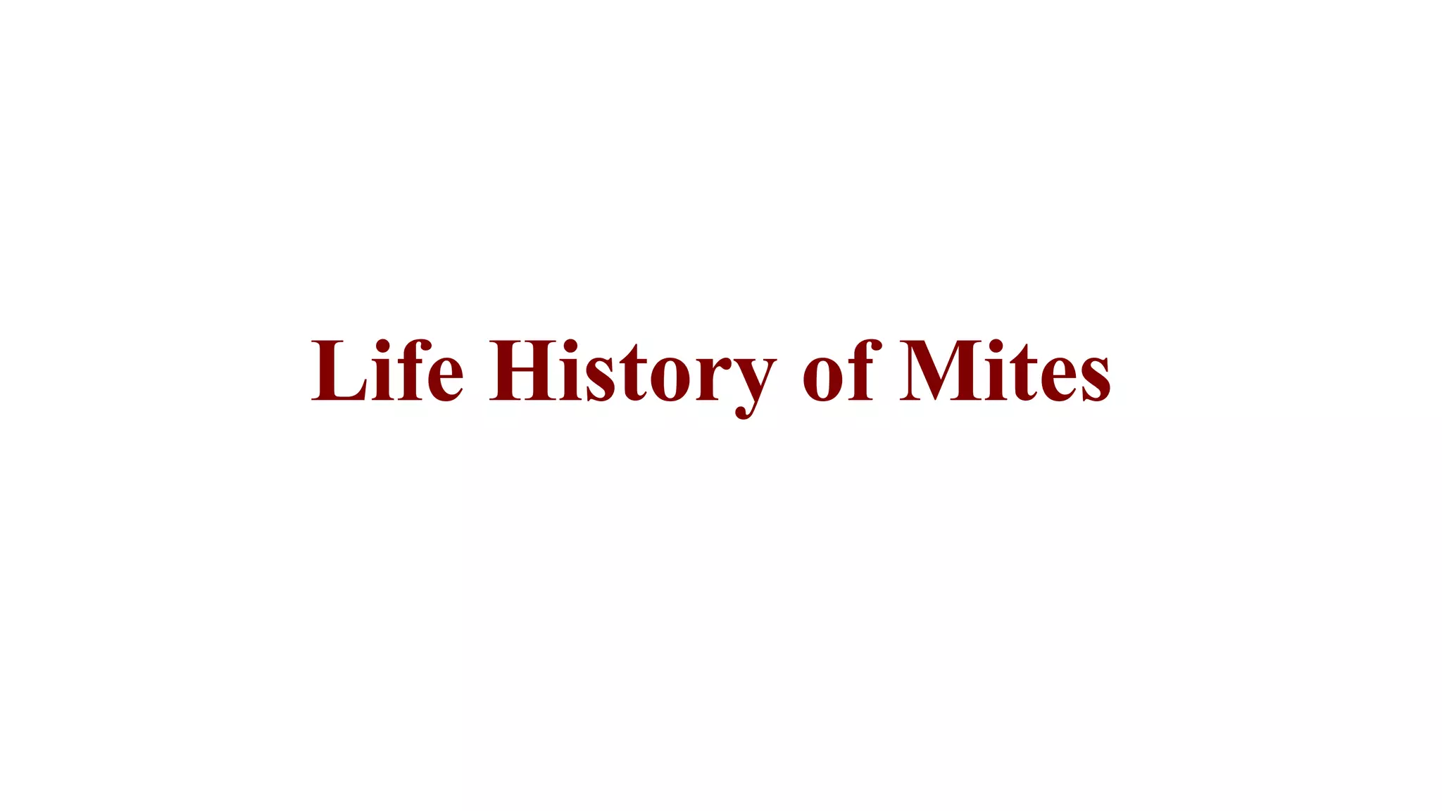 Life History of Mites
 