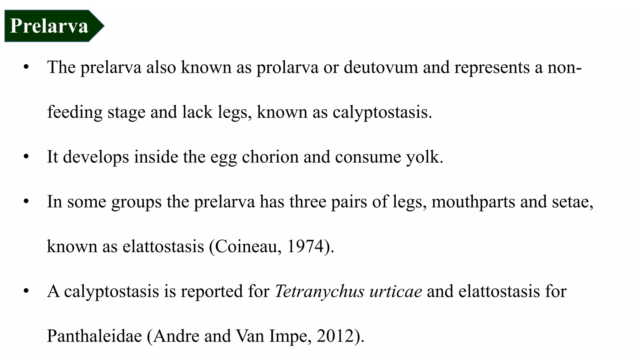 • The prelarva also known as prolarva or deutovum and represents a non-
feeding stage and lack legs, known as calyptostasis.
• It develops inside the egg chorion and consume yolk.
• In some groups the prelarva has three pairs of legs, mouthparts and setae,
known as elattostasis (Coineau, 1974).
• A calyptostasis is reported for Tetranychus urticae and elattostasis for
Panthaleidae (Andre and Van Impe, 2012).
Prelarva
 