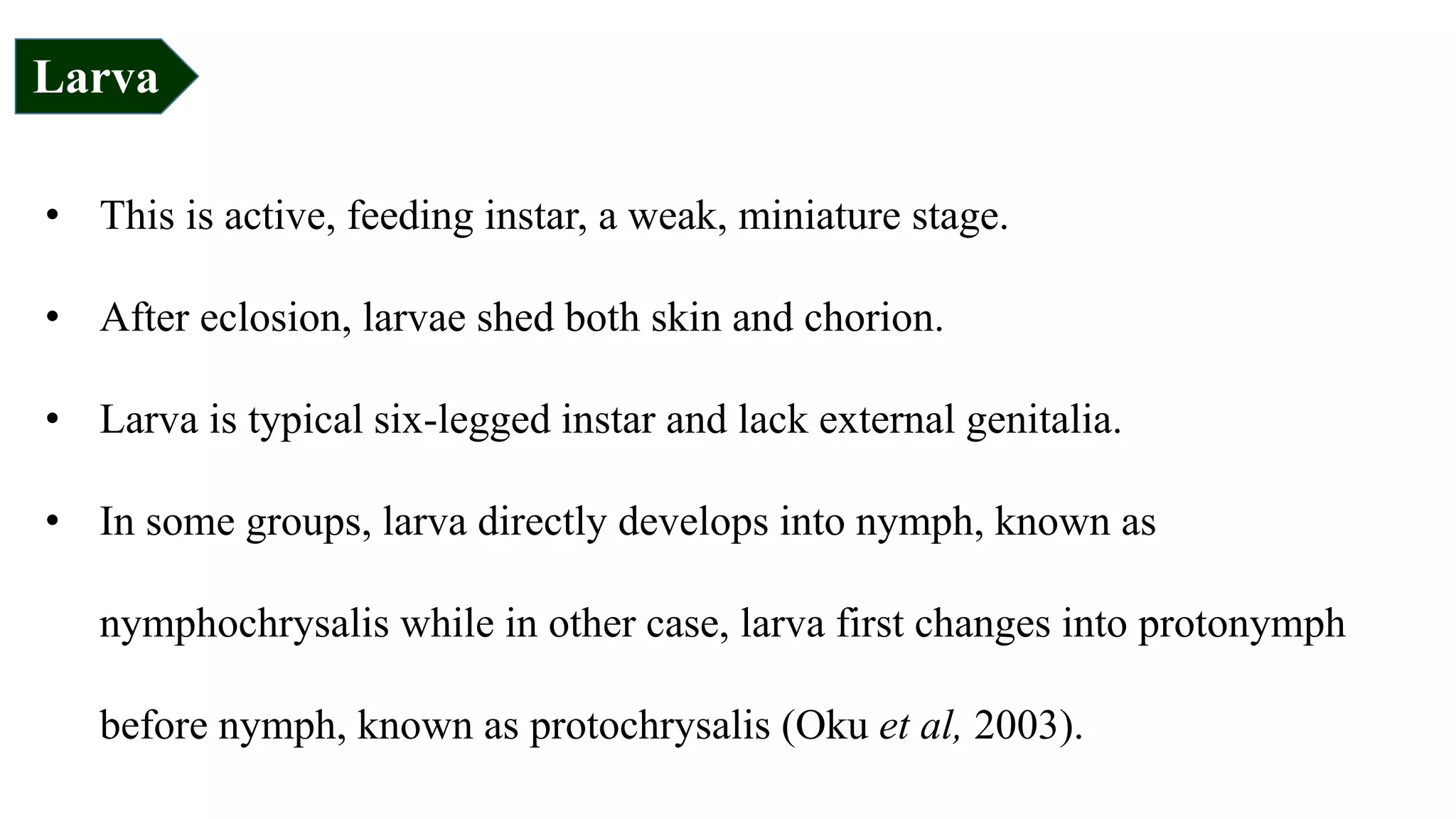 • This is active, feeding instar, a weak, miniature stage.
• After eclosion, larvae shed both skin and chorion.
• Larva is typical six-legged instar and lack external genitalia.
• In some groups, larva directly develops into nymph, known as
nymphochrysalis while in other case, larva first changes into protonymph
before nymph, known as protochrysalis (Oku et al, 2003).
Larva
 