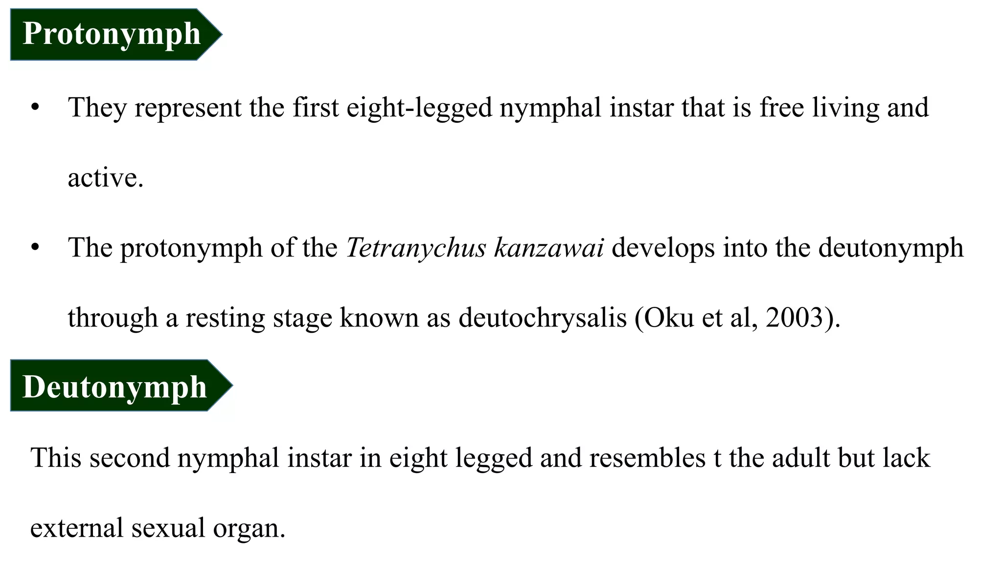 • They represent the first eight-legged nymphal instar that is free living and
active.
• The protonymph of the Tetranychus kanzawai develops into the deutonymph
through a resting stage known as deutochrysalis (Oku et al, 2003).
This second nymphal instar in eight legged and resembles t the adult but lack
external sexual organ.
Protonymph
Deutonymph
 
