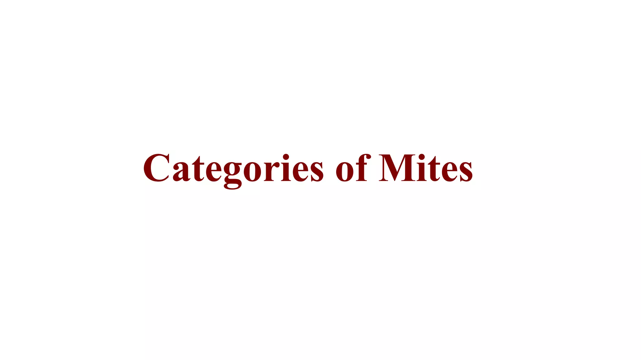 Categories of Mites
 