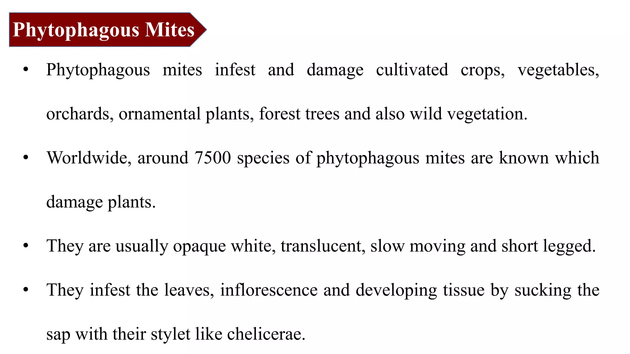 • Phytophagous mites infest and damage cultivated crops, vegetables,
orchards, ornamental plants, forest trees and also wild vegetation.
• Worldwide, around 7500 species of phytophagous mites are known which
damage plants.
• They are usually opaque white, translucent, slow moving and short legged.
• They infest the leaves, inflorescence and developing tissue by sucking the
sap with their stylet like chelicerae.
Phytophagous Mites
 