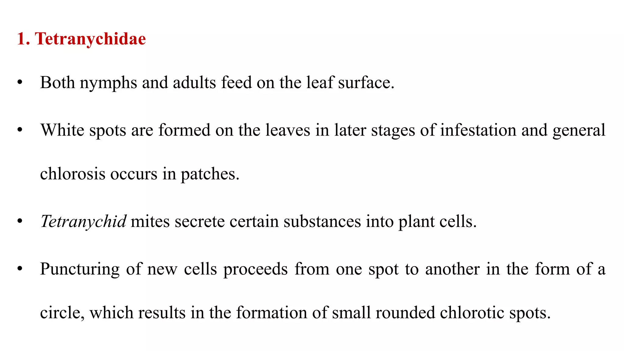 1. Tetranychidae
• Both nymphs and adults feed on the leaf surface.
• White spots are formed on the leaves in later stages of infestation and general
chlorosis occurs in patches.
• Tetranychid mites secrete certain substances into plant cells.
• Puncturing of new cells proceeds from one spot to another in the form of a
circle, which results in the formation of small rounded chlorotic spots.
 