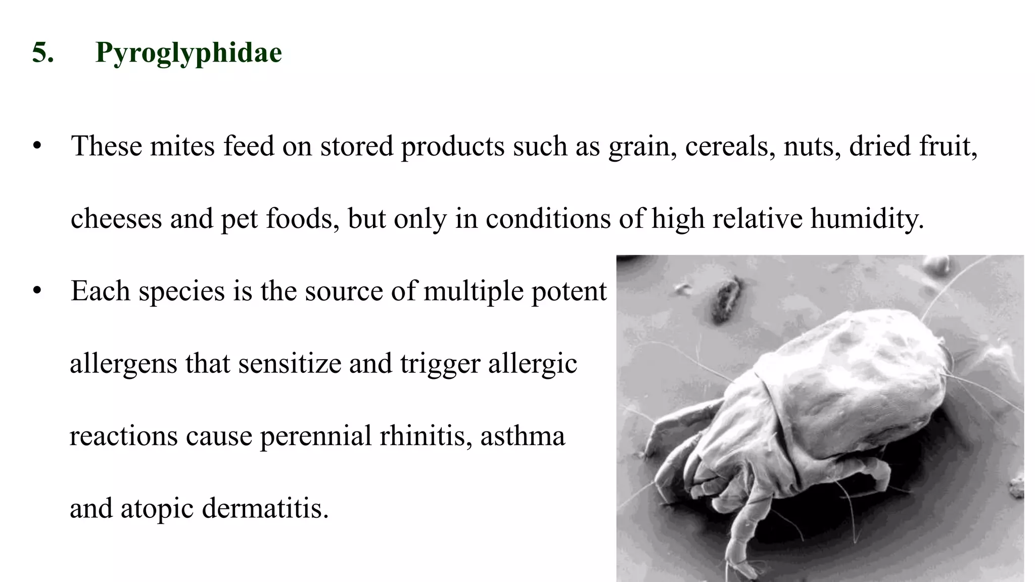 5. Pyroglyphidae
• These mites feed on stored products such as grain, cereals, nuts, dried fruit,
cheeses and pet foods, but only in conditions of high relative humidity.
• Each species is the source of multiple potent
allergens that sensitize and trigger allergic
reactions cause perennial rhinitis, asthma
and atopic dermatitis.
 