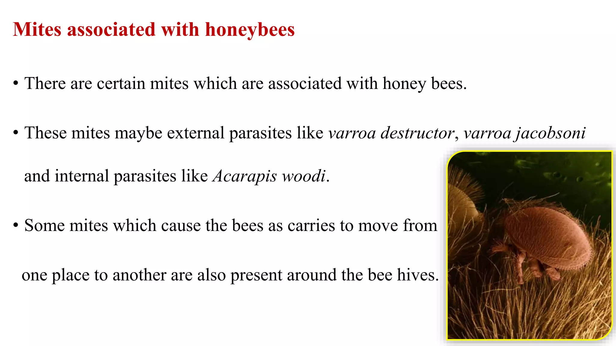 Mites associated with honeybees
• There are certain mites which are associated with honey bees.
• These mites maybe external parasites like varroa destructor, varroa jacobsoni
and internal parasites like Acarapis woodi.
• Some mites which cause the bees as carries to move from
one place to another are also present around the bee hives.
88
 