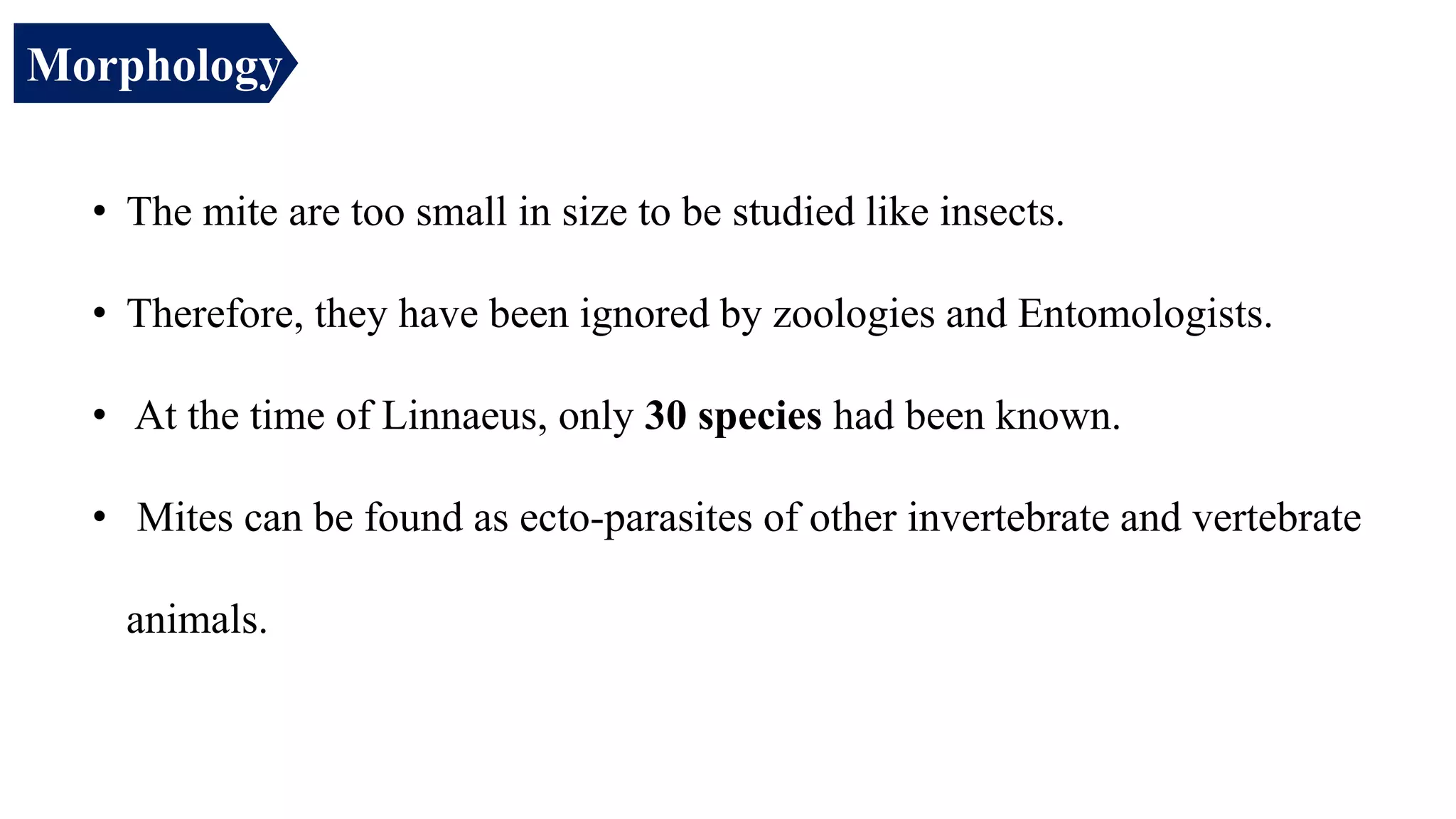 • The mite are too small in size to be studied like insects.
• Therefore, they have been ignored by zoologies and Entomologists.
• At the time of Linnaeus, only 30 species had been known.
• Mites can be found as ecto-parasites of other invertebrate and vertebrate
animals.
Morphology
 