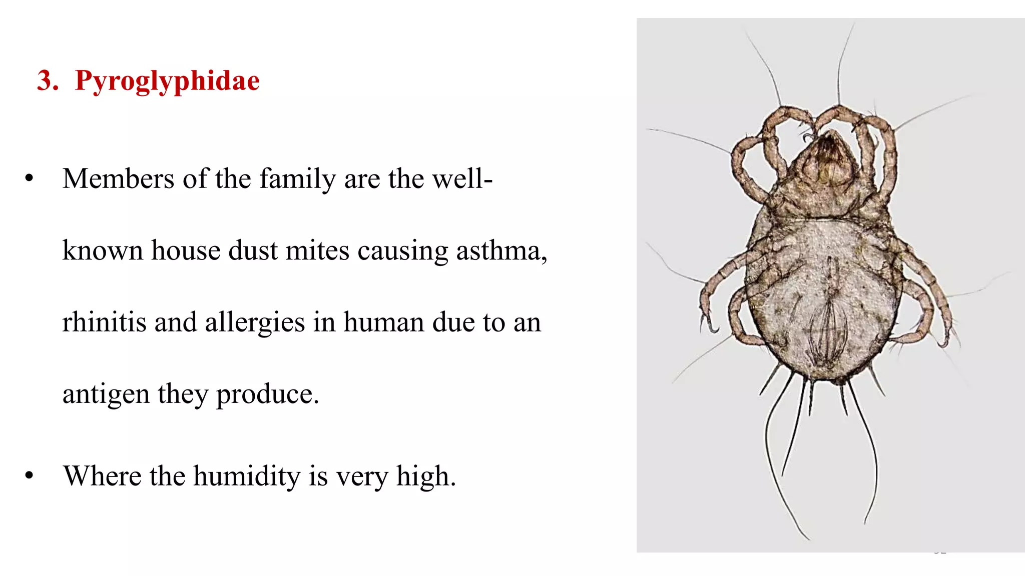 3. Pyroglyphidae
• Members of the family are the well-
known house dust mites causing asthma,
rhinitis and allergies in human due to an
antigen they produce.
• Where the humidity is very high.
92
 