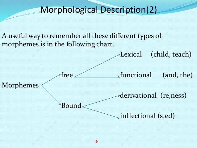 different types of morphemes Morphemes are the smallest units of sound or combination of sounds that make up words in speech and have meaning there are many different types of morphemes. different types of morphemes Morphemes are the smallest units of sound or combination of sounds that make up words in speech and have meaning there are many different types of morphemes.