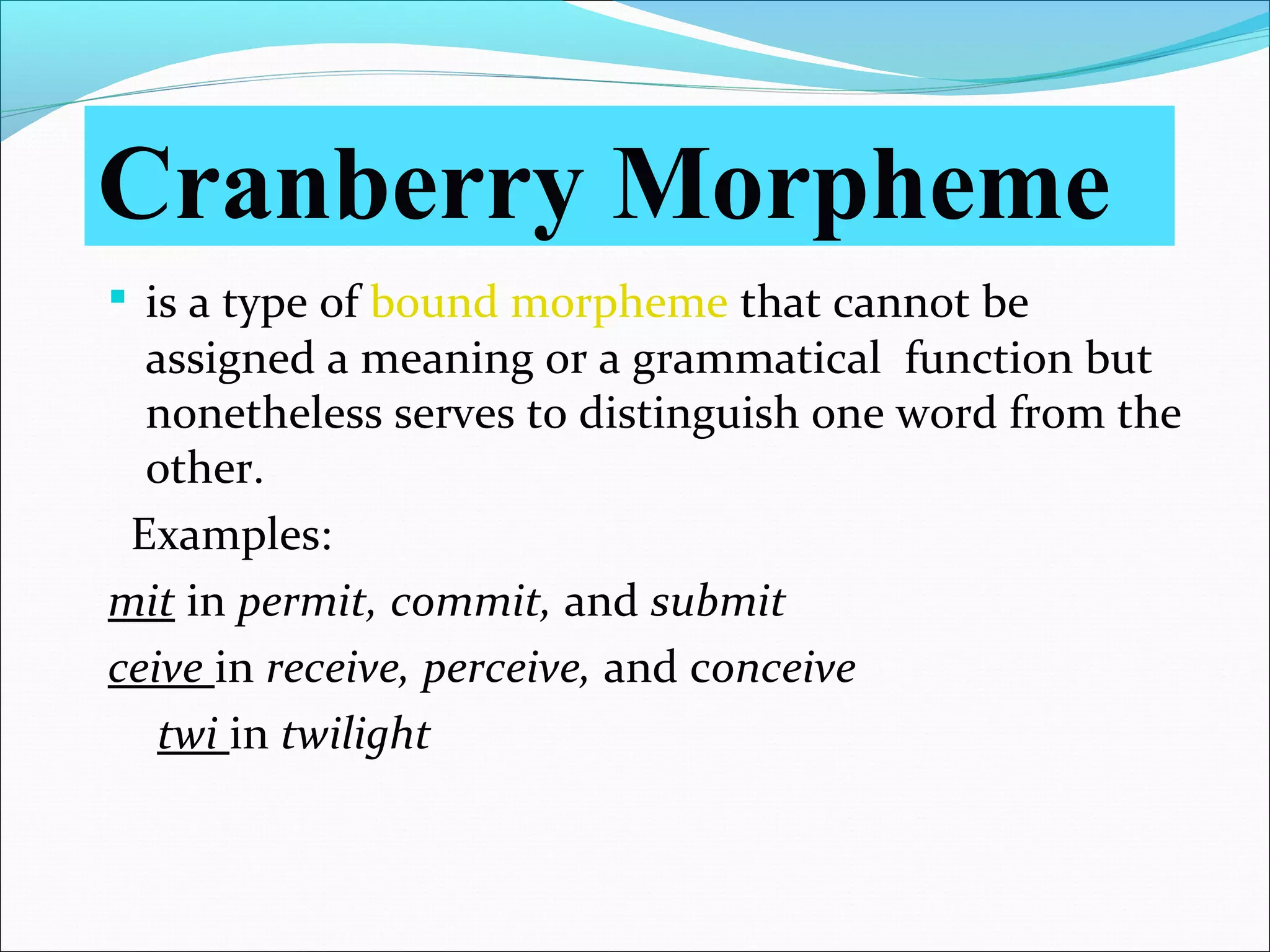 Morphology Handout.pdf