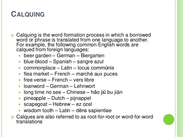word the in foreign sentences example (linguistics) Morphology