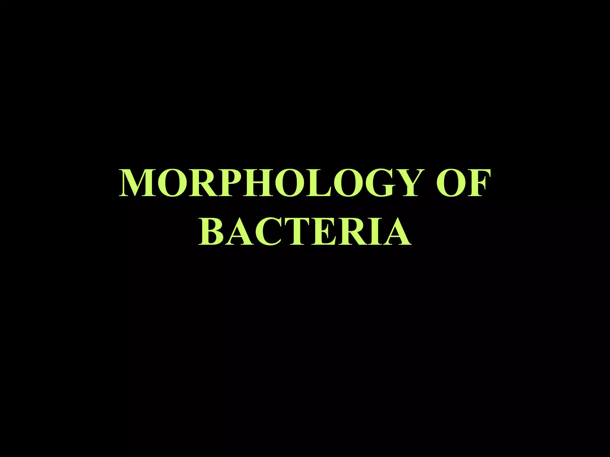 MORPHOLOGY OF
BACTERIA
