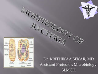 Dr. KRITHIKAA SEKAR, MD
Assistant Professor, Microbiology,
SLMCH
 