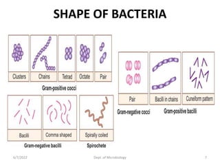 Morphology of Bacteria and Anatomy of Bacterial Cell.pptx