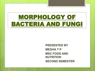 MORPHOLOGY OF
BACTERIA AND FUNGI
PRESENTED BY
MEGHA T P
MSC FOOD AND
NUTRITION
SECOND SEMESTER
 