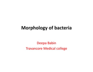 Morphology of bacteria

         Deepa Babin
  Travancore Medical college
 