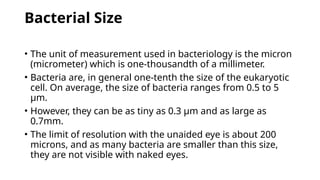 Microbial Range Morphology of Bacterial Cell for bsc sud | PPTX
