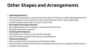 Morphology of Bacterial Cell for bsc sud | PPTX