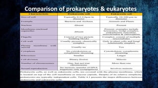 Comparison of prokaryotes & eukaryotes
 