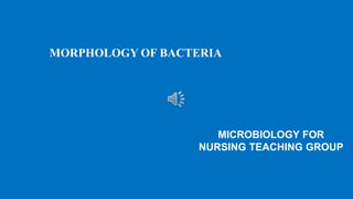 MORPHOLOGY OF BACTERIA
MICROBIOLOGY FOR
NURSING TEACHING GROUP
 