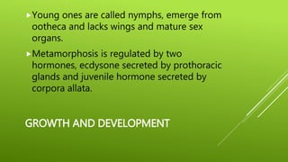 GROWTH AND DEVELOPMENT
Young ones are called nymphs, emerge from
ootheca and lacks wings and mature sex
organs.
Metamorphosis is regulated by two
hormones, ecdysone secreted by prothoracic
glands and juvenile hormone secreted by
corpora allata.
 
