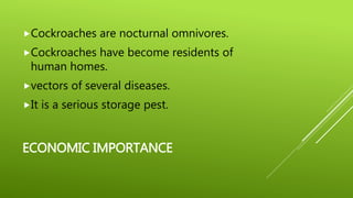 ECONOMIC IMPORTANCE
Cockroaches are nocturnal omnivores.
Cockroaches have become residents of
human homes.
vectors of several diseases.
It is a serious storage pest.
 