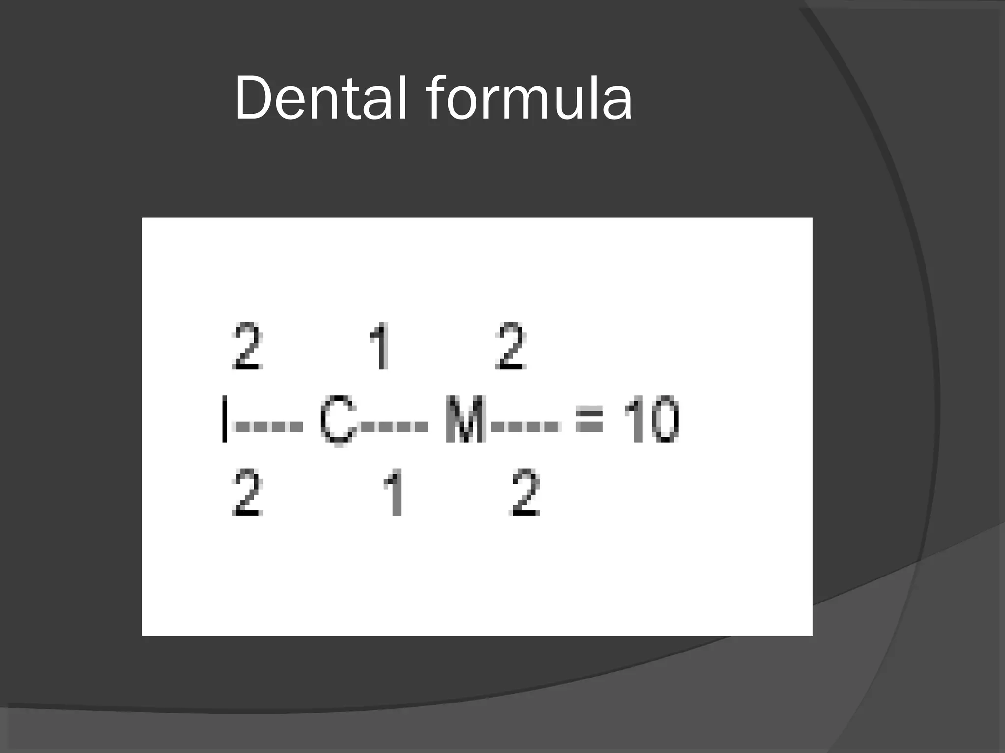 Morphology of deciduous dentition | PPT