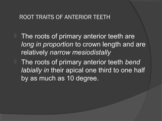 Morphology of deciduous dentition | PPT