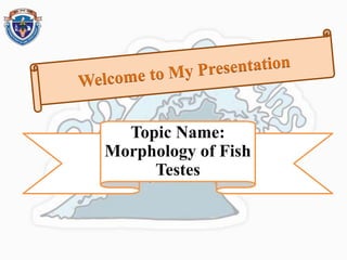 Topic Name:
Morphology of Fish
Testes
 