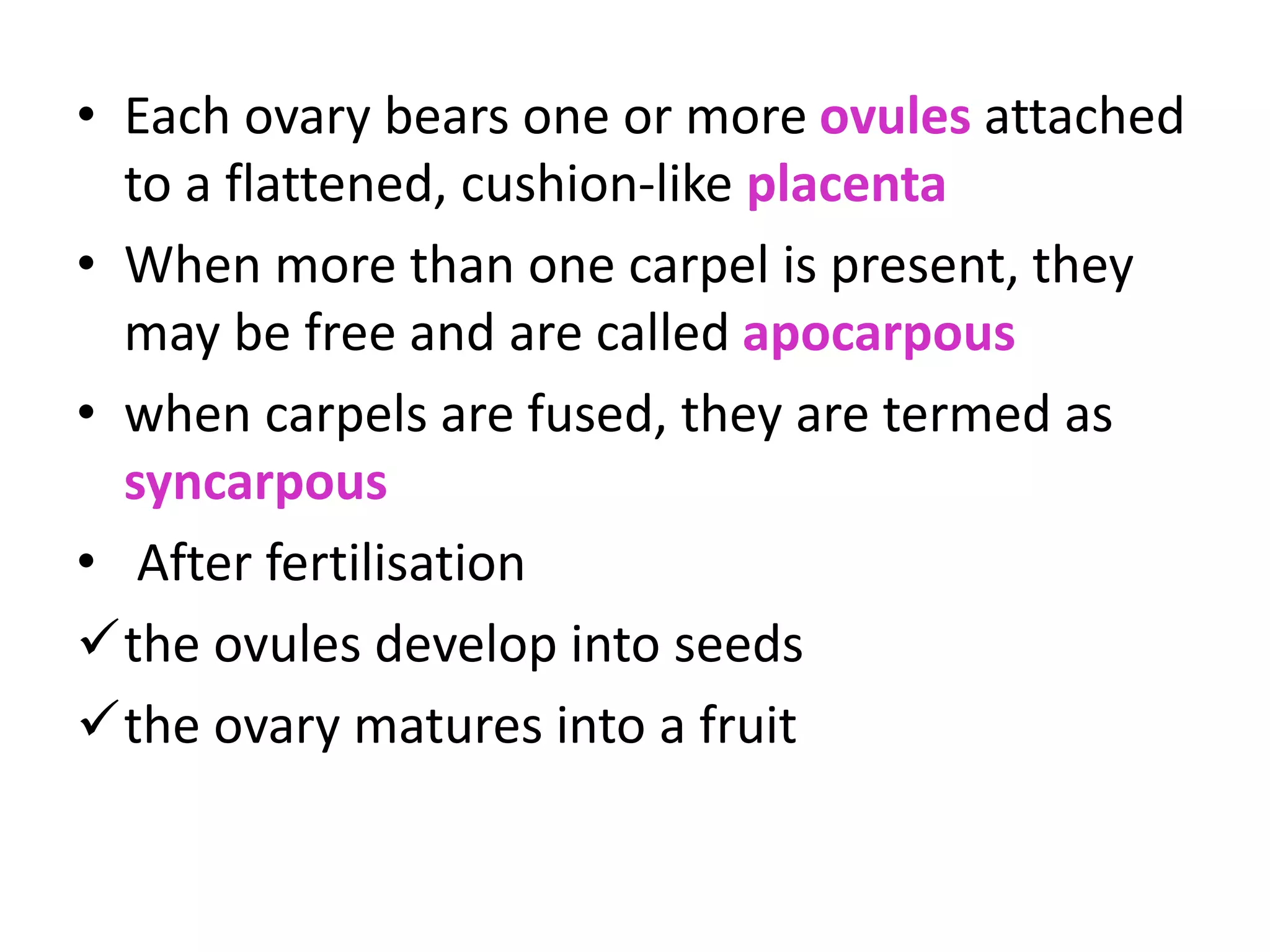 • Each ovary bears one or more ovules attached
to a flattened, cushion-like placenta
• When more than one carpel is present, they
may be free and are called apocarpous
• when carpels are fused, they are termed as
syncarpous
• After fertilisation
the ovules develop into seeds
the ovary matures into a fruit
 