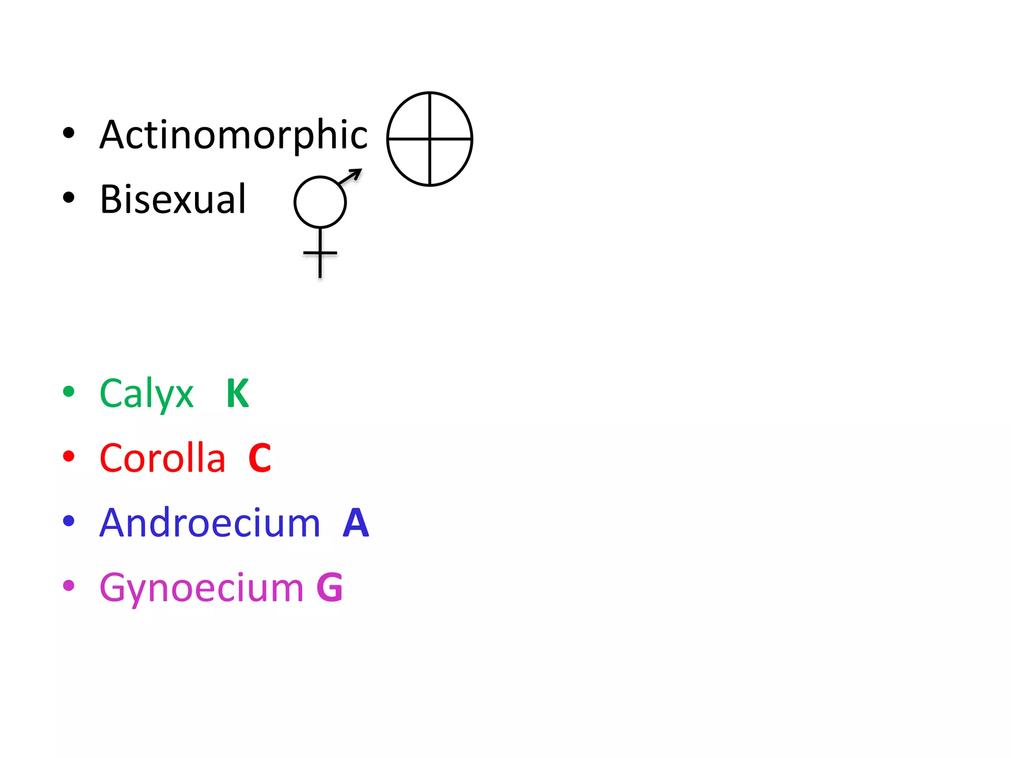 • Actinomorphic
• Bisexual
• Calyx K
• Corolla C
• Androecium A
• Gynoecium G
 