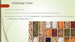 Morphology of Seed
 Seed- The fertilized ovules:
 Seeds are covered by seed coat and enclose partially developed sporophytic plant.
 Seeds lacking endosperm are called exalbuminous or non-endosperms seeds while seed with endosperm
are albuminous or endospermous seeds.
 