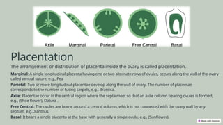 The-Morphology-of -Flowering Plants.pptx