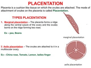 Morphology of Flowering Plants ppt education | PPTX