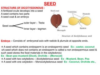 SEED
STRUCTURE OF DICOTYEDONOUS :
A fertilized ovule develops into a seed
A seed contains two parts
A seed coat & an embryo
outer layer - Testa
Seed coat
Inner layer - tegmen
Embryo – Consists of embryonal axis with radicle & plumule at opposite ends.
🡪 A seed which contains endosperm is an endospermic seed Ex ; castor, coconut
🡪A seed which does not contains an endosperm is called a non endospermous seed &
such seed stores the food materials in the cotyledon(s)
Ex : Bean pea mustard (Dicot), Orchids – (Monocot)
🡪 A seed with two cotyledons – dicotyledonous seed Ex : Mustard, Bean, Pea
🡪 A seed with one cotyledon – Monocotyledonous seed Ex : Coconut, Orchids etc.,
 