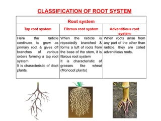 Morphology of Flowering Plants ppt education | PPTX